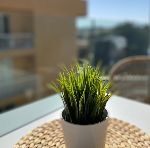 Casa Vista Mar Penhouse Apartment in Corralejo auf Fuerteventura Essbereich