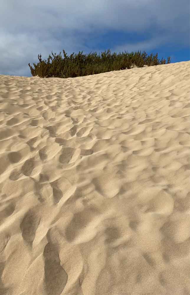 Parque Natural de las Dunas de Corralejo in der Nähe der Ferienwohung Casa-Vista-Mar auf Fuerteventura